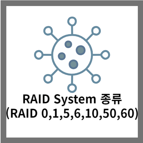 RAID System 종류